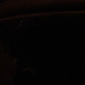 Meet your Posher, Damion